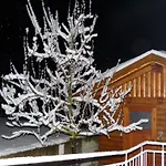 Heidi * 湖城